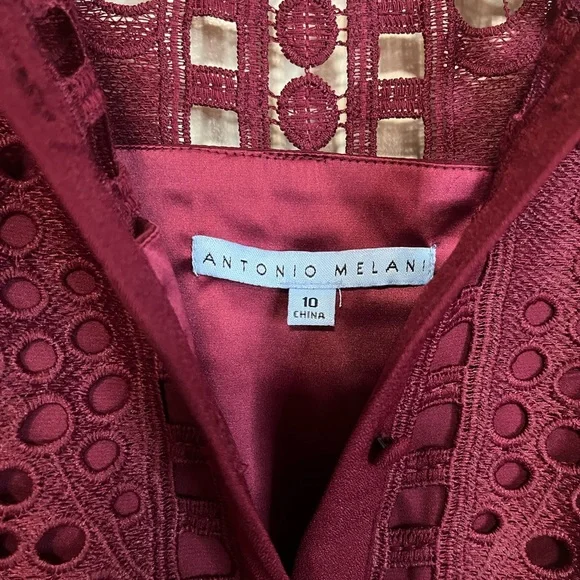 ANTONIO MELANI Burgundy Lace Midi Dress - Picture 10 of 13